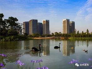 特色城市風(fēng)貌如何塑造 臺州山海水城 美麗計(jì)劃 告訴你