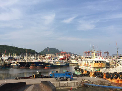 &ldquo;東海魚倉&rdquo;還有多少魚?-